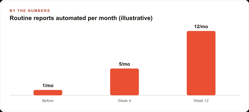Routine reports automated per month (illustrative)