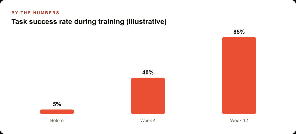 Task success rate during training (illustrative)